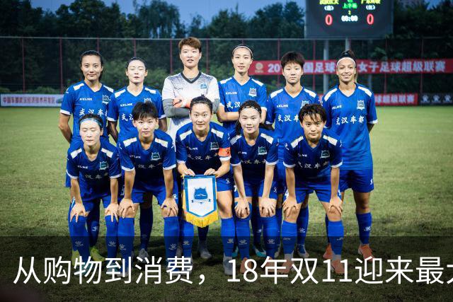 从购物到消费,18年双11迎来最大一次跃迁
